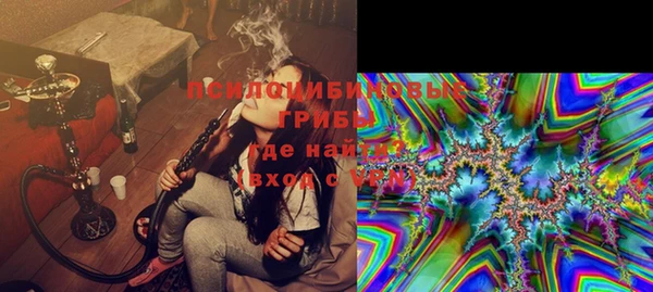 PSILOCYBIN Алексин